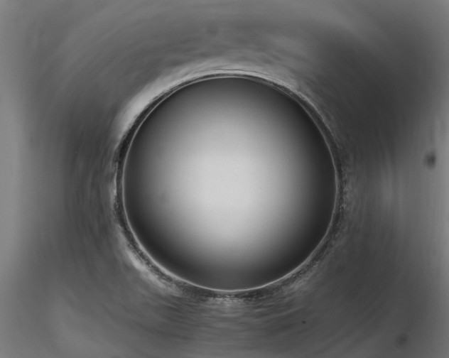 X0000116581511200912101528
