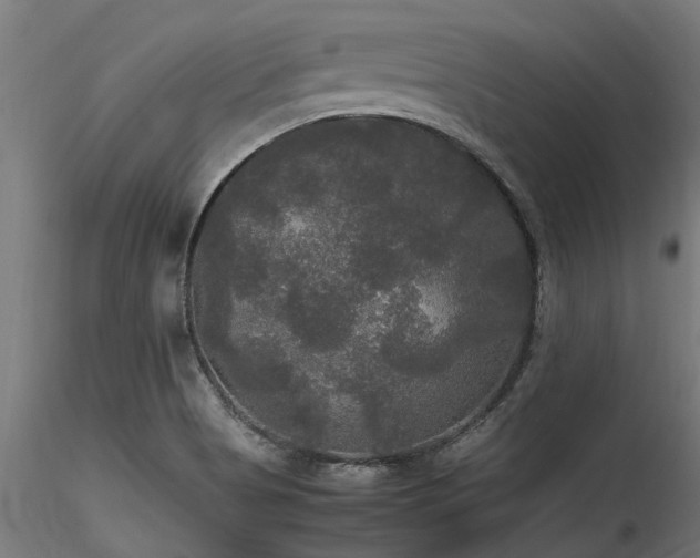 X0000116581513200912101528