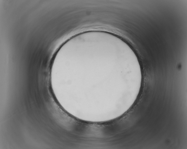 X0000116581514200912101528