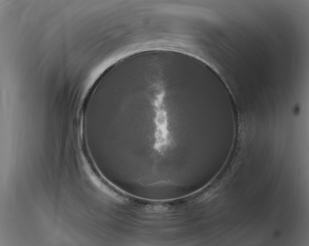 X0000116581515200912101528