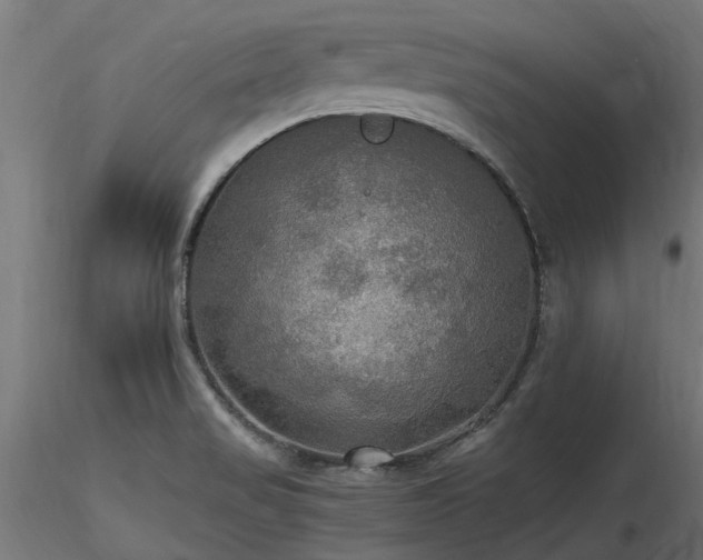 X0000116581517200912101528