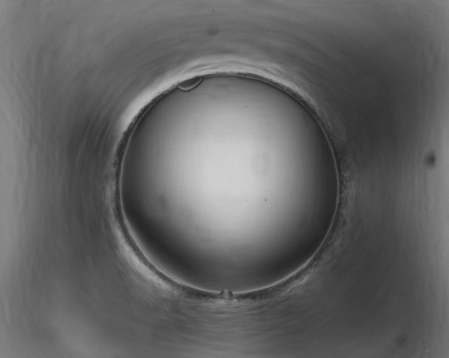 X0000116581518200912101528
