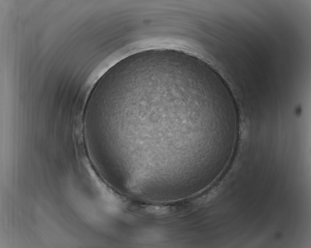X0000116581521200912101528