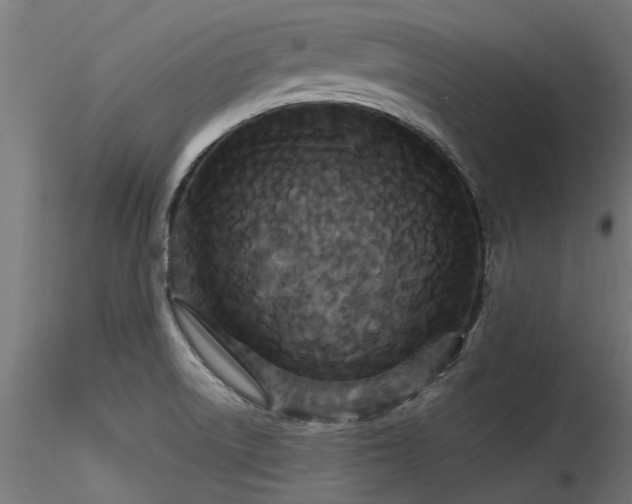 X0000116581522200912101528