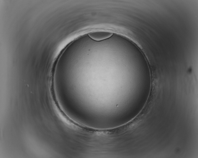 X0000116581523200912101529
