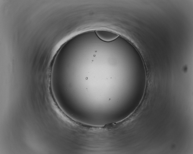X0000116581526200912101529