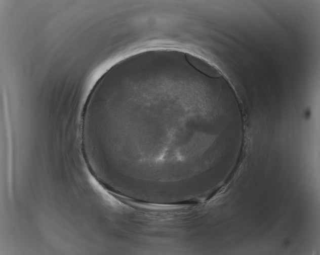 X0000116581527200912101529