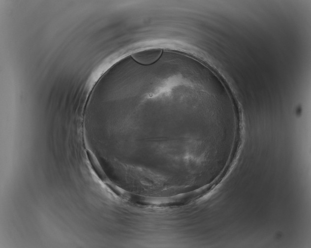 X0000116581529200912101529