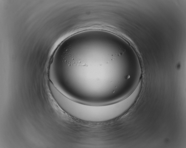 X0000116581530200912101529