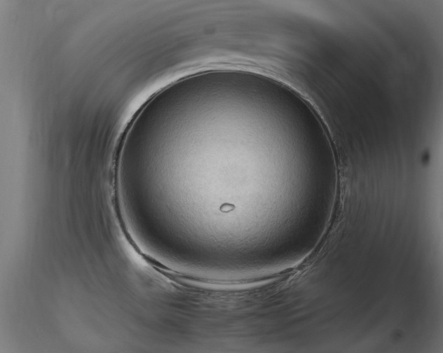 X0000116581531200912101529