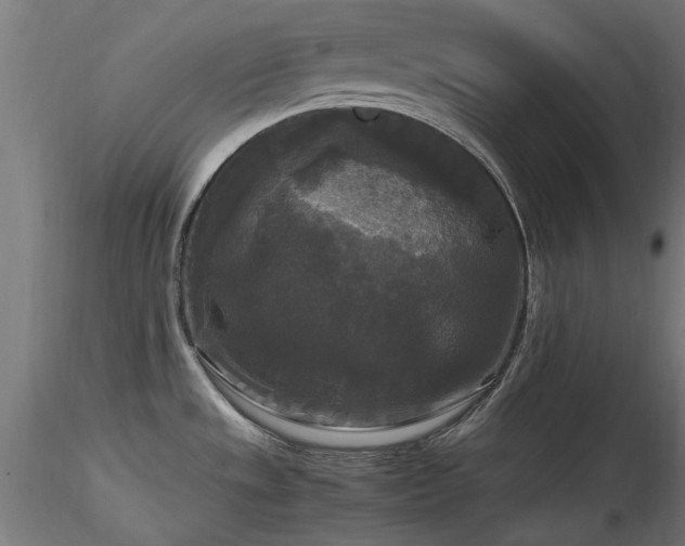 X0000116581533200912101529