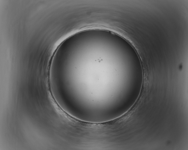 X0000116581534200912101529