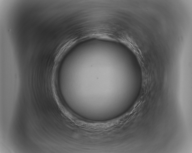 X0000116580001200912171533