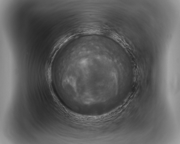 X0000116580002200912171533