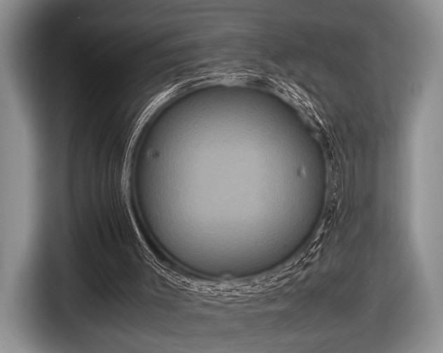 X0000116580003200912171533