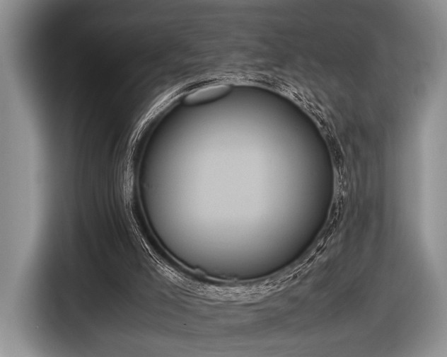 X0000116580005200912171533