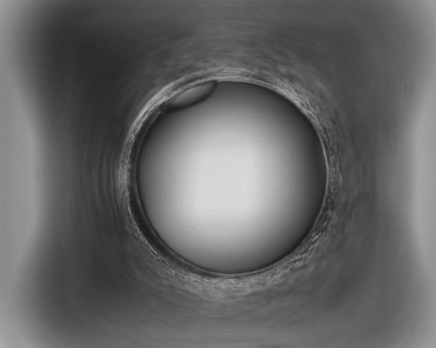 X0000116580007200912171533