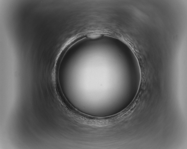 X0000116580008200912171533