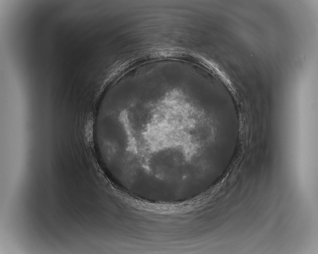 X0000116580010200912171533