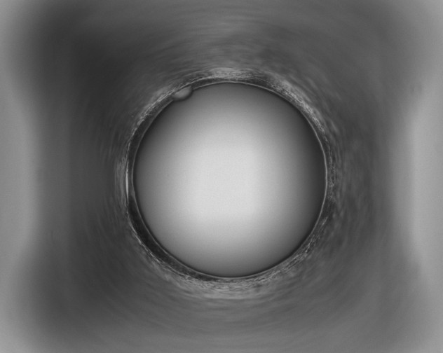 X0000116580011200912171533