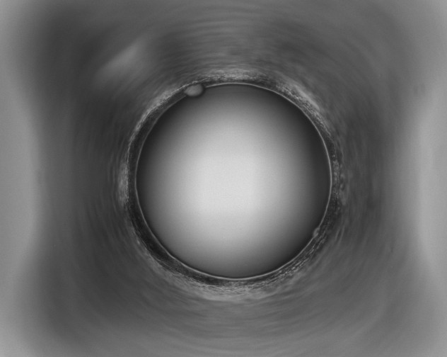 X0000116580012200912171533