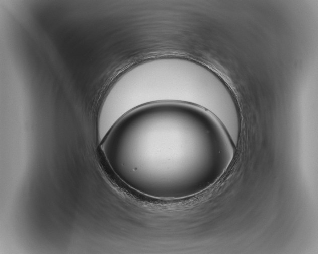 X0000116580013200912171533