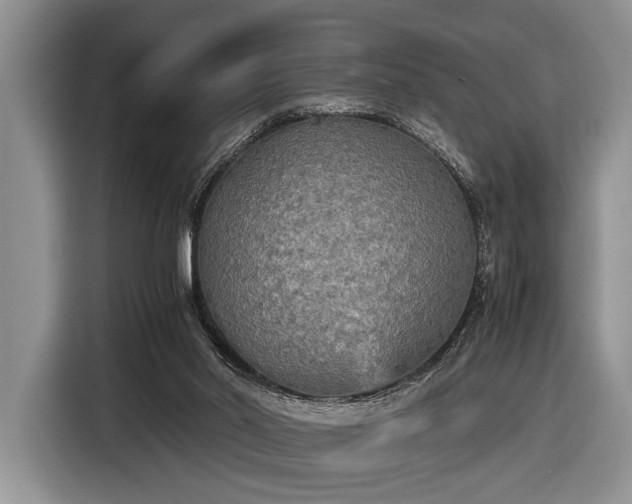 X0000116580014200912171533