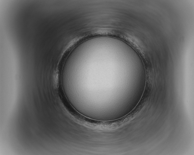 X0000116580016200912171533