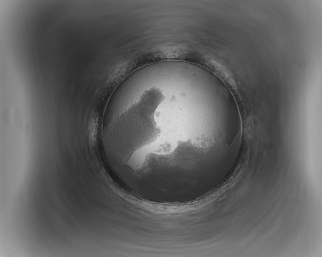 X0000116580018200912171533