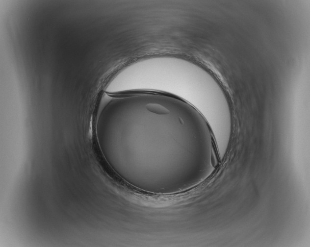 X0000116580019200912171533