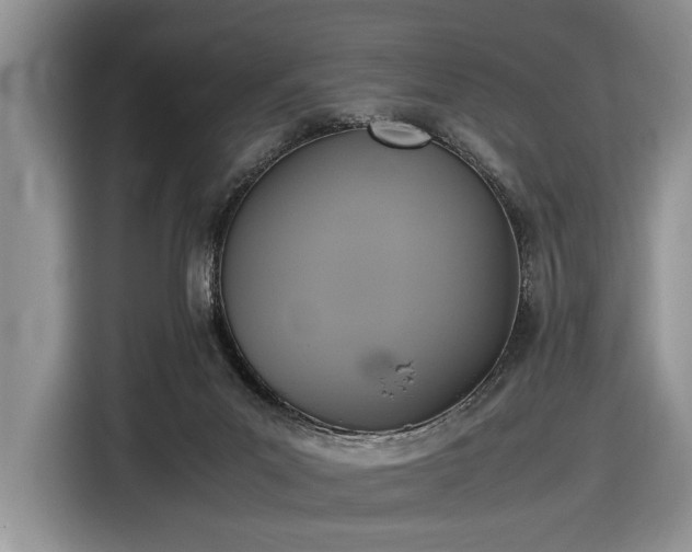 X0000116580023200912171533