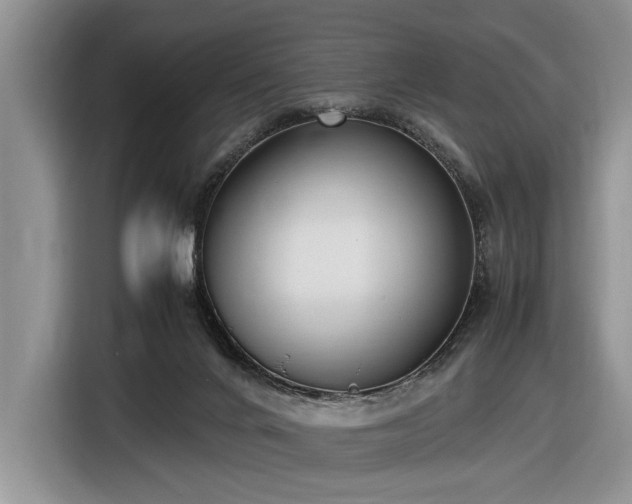 X0000116580024200912171533