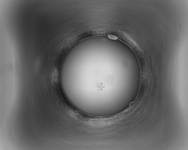 X0000116580025200912171533