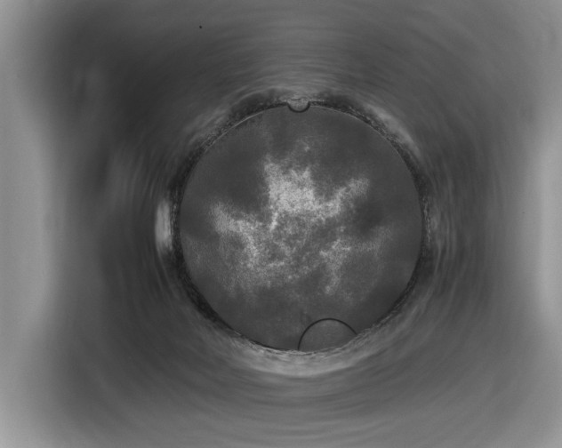 X0000116580026200912171533