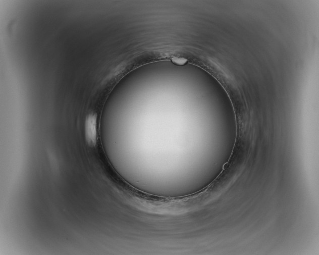 X0000116580028200912171533