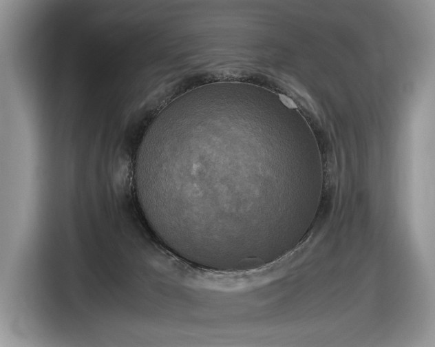 X0000116580029200912171533