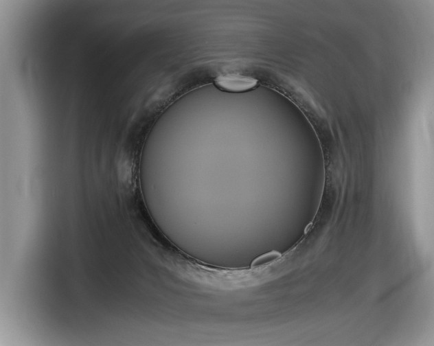 X0000116580031200912171533