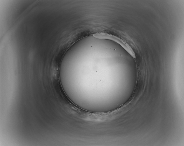 X0000116580033200912171533