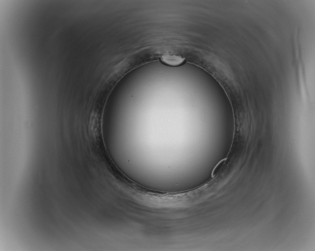 X0000116580036200912171532