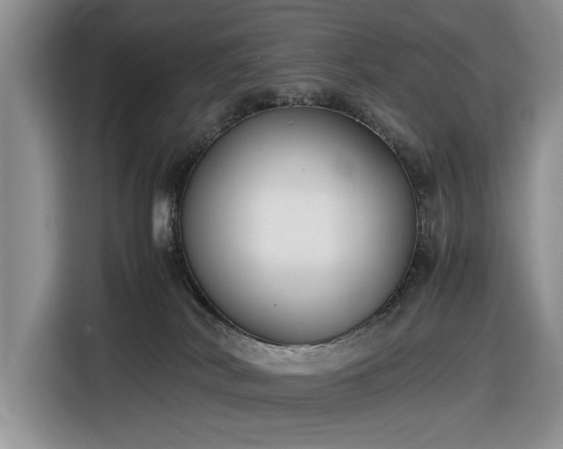 X0000116580038200912171532