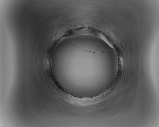 X0000116580039200912171532