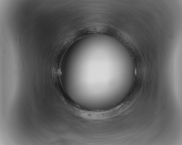 X0000116580040200912171532