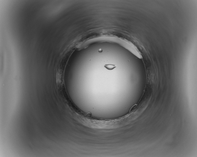 X0000116580044200912171532