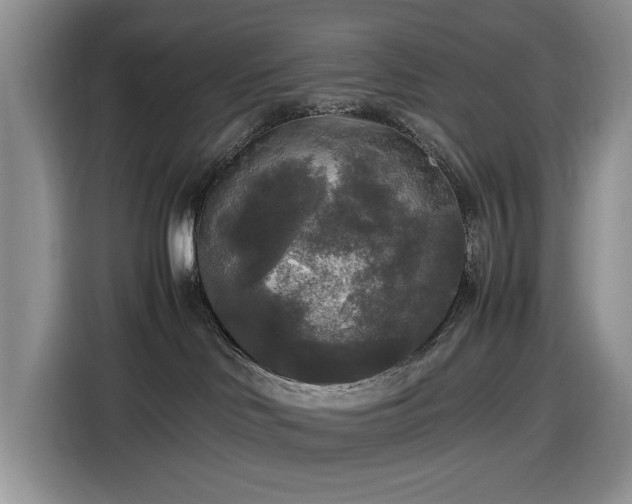 X0000116580046200912171532