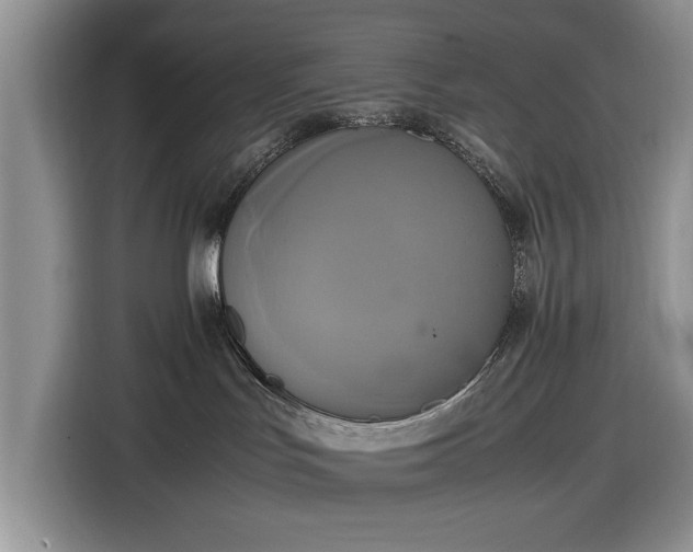 X0000116580047200912171532