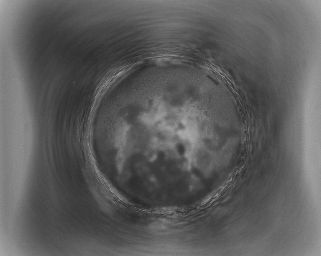 X0000116580049200912171532