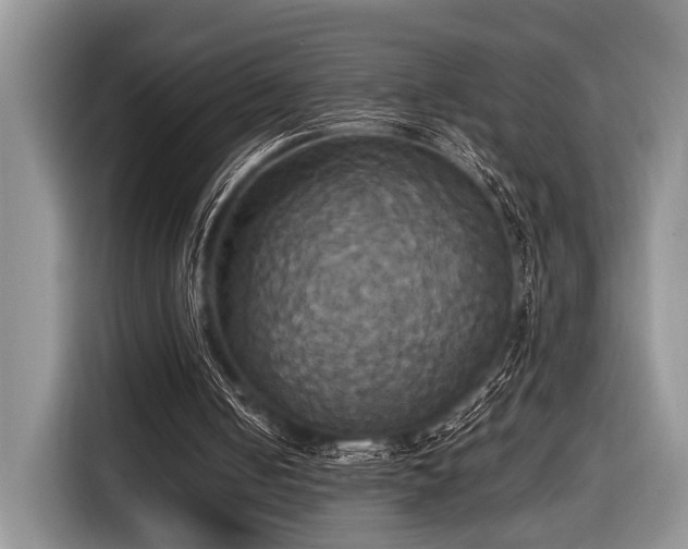 X0000116580050200912171532