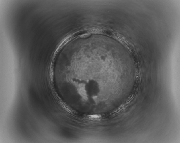 X0000116580053200912171532