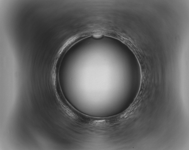 X0000116580054200912171532