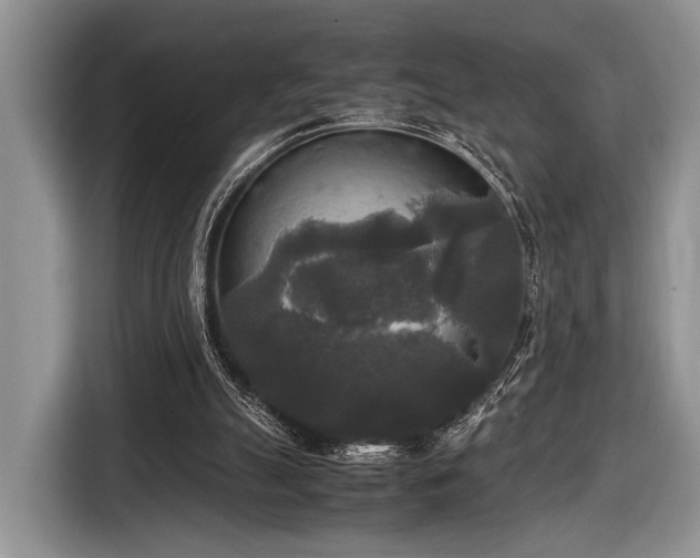 X0000116580055200912171532